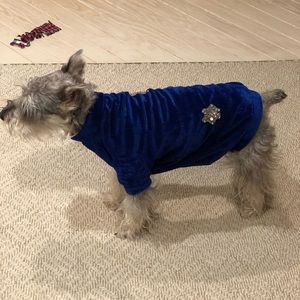 ‼️Host Pick ‼️ NWOT blue velveteen dog shirt with bling ‼️